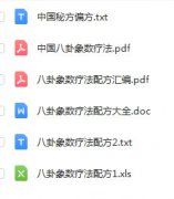 <b>八卦象数疗法</b>