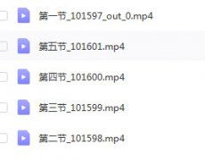 <b>金光咒李广强加持视频课程共5课全集</b>