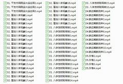 <b>盲派命理之陈秉志老师讲限运盲派不传之密</b>