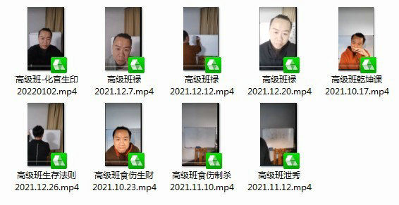 盲派命理名师杨清娟老师高徒未土盲派八字28集