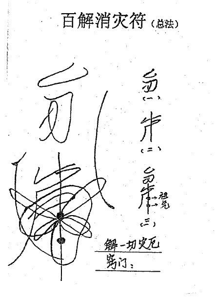 种生基是什么意思种生基