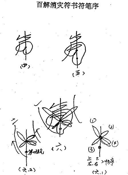 种生基是什么意思种生基