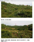 <b>风水墓地明觉易行寻龙点穴400个文件</b>