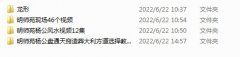 <b>风水墓地明师苑风水合集5套</b>