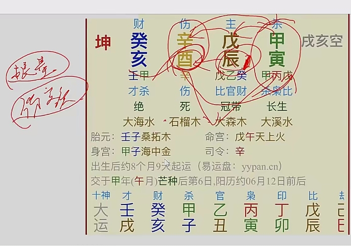 红林八字合集